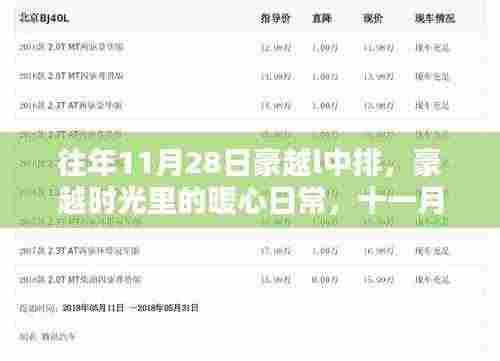 豪越时光排球情缘,暖心日常的排球情缘纪念日