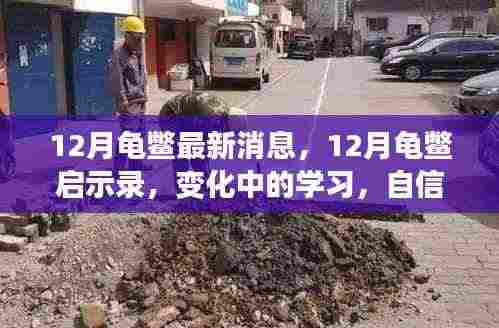 12月龟鳖动态,变化中的启示与学习,自信与成就感的源泉