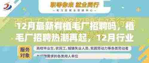 运输网络 第347页