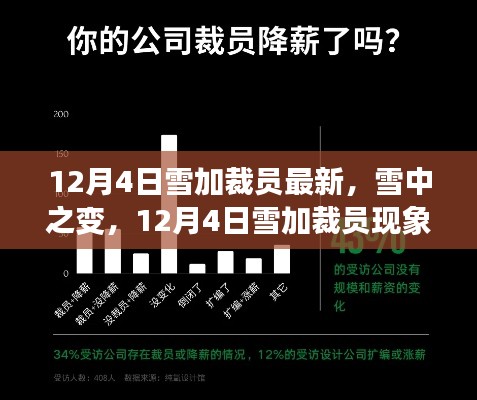 12月4日雪加裁员现象深度解析,雪中之变