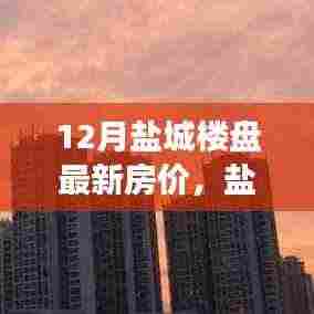 盐城楼盘最新房价动态深度解析,背景、事件与影响全面剖析