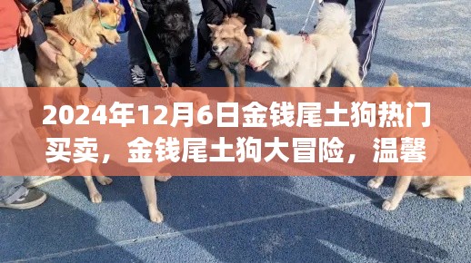 金钱尾土狗大冒险,买卖与友情的温馨之旅