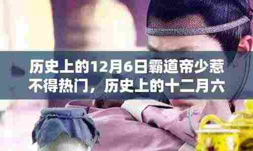 历史上的12月6日,霸道帝少的挑战与应对策略(初学者指南)