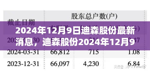 2024年12月9日迪森股份最新消息，迪森股份2024年12月9日最新动态解析，扩张策略与公司前景展望