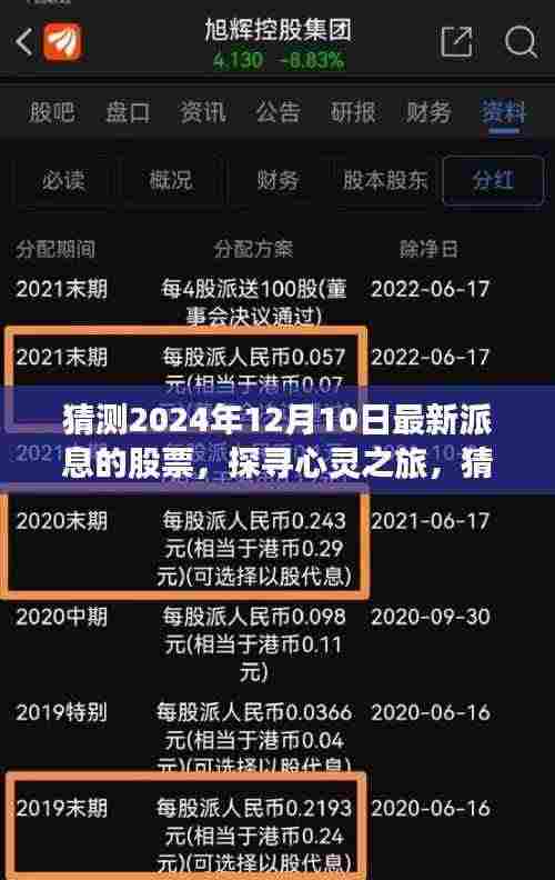 探寻心灵之旅,揭秘2024年最新派息股票引领的投资方向!