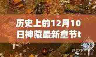 神藏书屋最新章节揭秘,神秘角落探秘与神奇故事下载