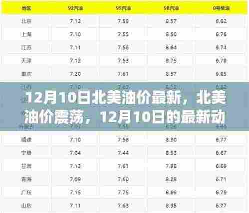 12月10日北美油价震荡的最新动态与深远影响分析