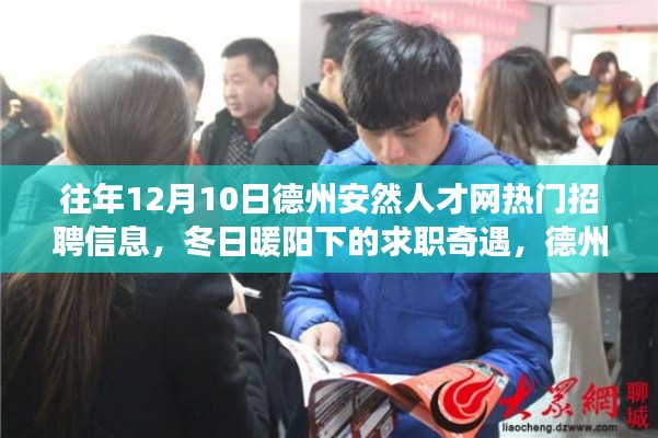 德州安然人才网招聘热潮,冬日求职奇遇与温情故事盘点