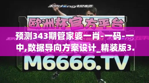 预测343期管家婆一肖-一码-一中,数据导向方案设计_精装版3.964