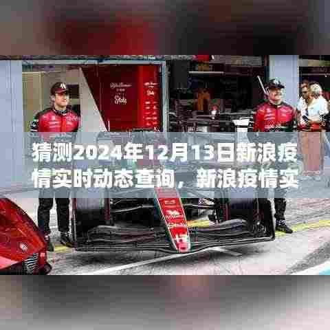 新浪疫情实时动态查询预测与回顾,2024年12月13日疫情走向展望