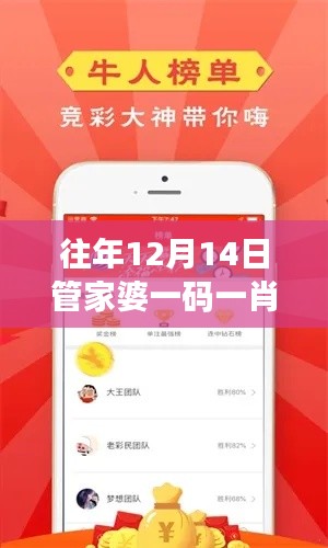 往年12月14日管家婆一码一肖100准:揭示时间的力量
