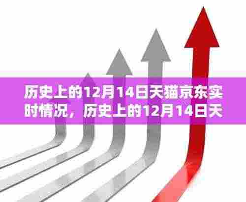 深度解析,历史上的12月14日天猫京东实时状况回顾与评测