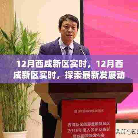 乌鸟私情 第5页