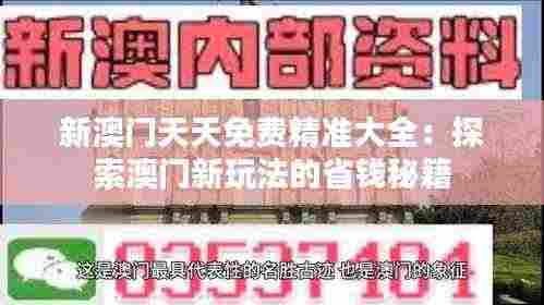 新澳门天天免费精准大全:探索澳门新玩法的省钱秘籍