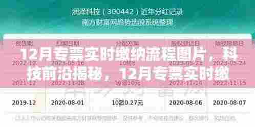 揭秘科技前沿，12月专票实时缴纳流程数字化革新，智能时代专票缴纳流程详解