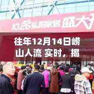 揭秘崂山游客盛况,十二月十四日人流实时动态