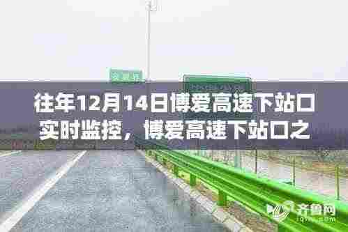 博爱高速下站口之旅,探寻内心宁静与自然魔法的实时记录