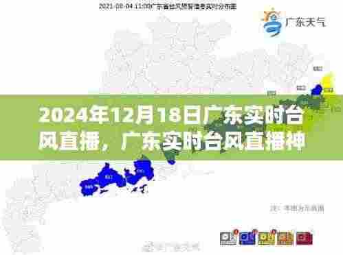 广东台风直播,科技前沿追踪体验