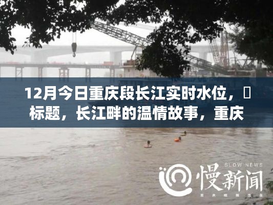重庆长江水位实时播报，长江畔的温情故事