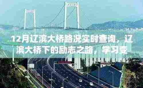 辽滨大桥下的励志之路,实时路况查询与学习成就之旅