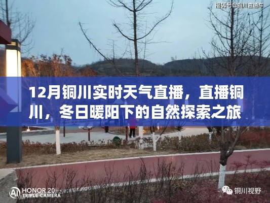铜川实时天气直播,冬日暖阳下的自然探索之旅