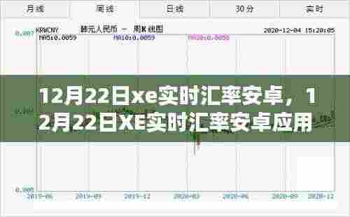 XE实时汇率安卓应用指南,从初学者到进阶用户的安装与使用详解