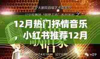 小红书推荐,12月热门抒情音乐,心灵深处的温暖旋律
