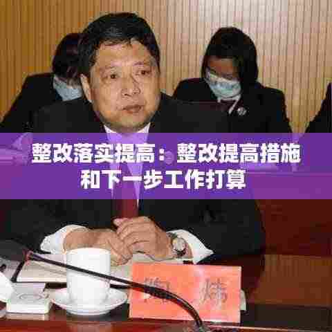 整改落实提高：整改提高措施和下一步工作打算 