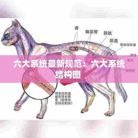六大系统最新规范:六大系统结构图
