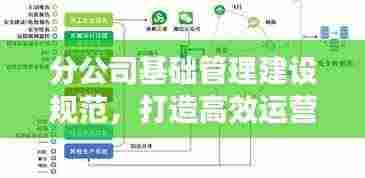 分公司基础管理建设规范，打造高效运营体系的关键要素