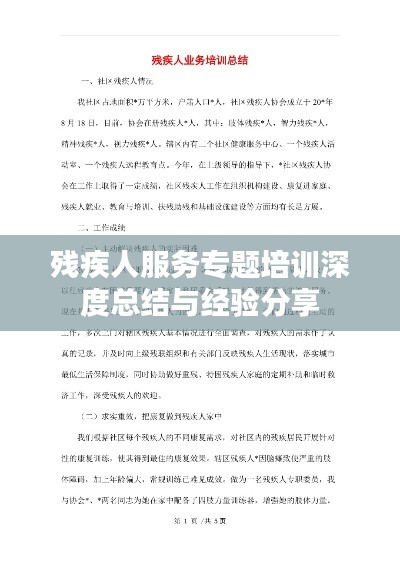 残疾人服务专题培训深度总结与经验分享