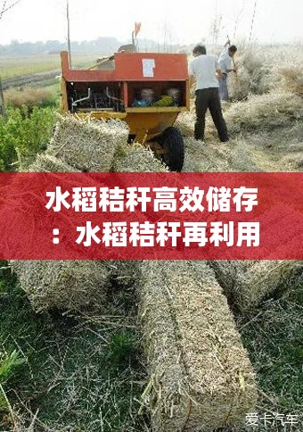 水稻秸秆高效储存：水稻秸秆再利用 