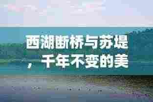 纡尊降贵 第4页