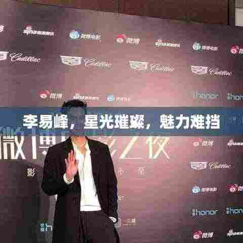 李易峰,星光璀璨,魅力难挡