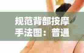 规范背部按摩手法图：普通按摩手法背部 