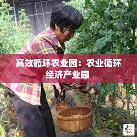 高效循环农业园:农业循环经济产业园