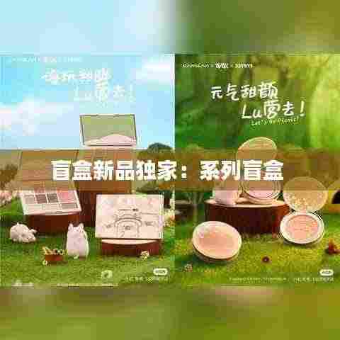 盲盒新品独家:系列盲盒