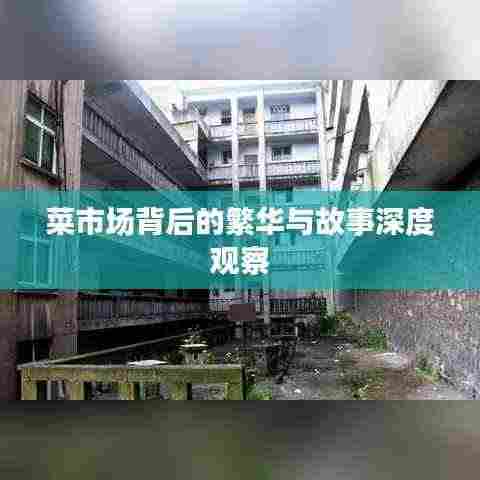 菜市场背后的繁华与故事深度观察