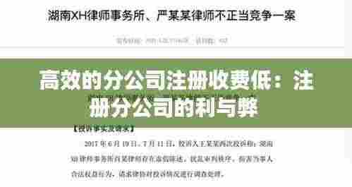 高效的分公司注册收费低:注册分公司的利与弊