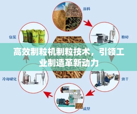 高效制粒机制粒技术,引领工业制造革新动力