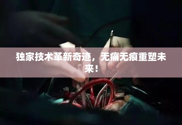 独家技术革新奇迹,无痛无痕重塑未来!