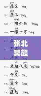 张北冥超高效背单词法:张北冥唱歌