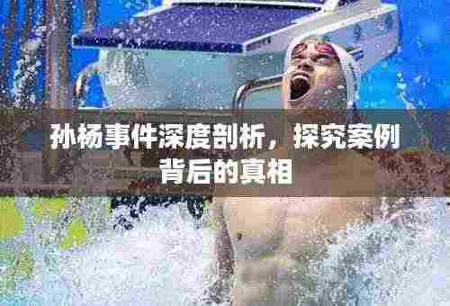 孙杨事件深度剖析,探究案例背后的真相