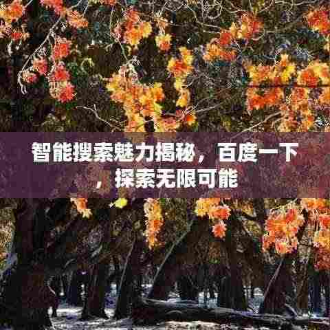 智能搜索魅力揭秘,百度一下,探索无限可能