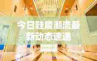 今日鞋履潮流最新动态速递