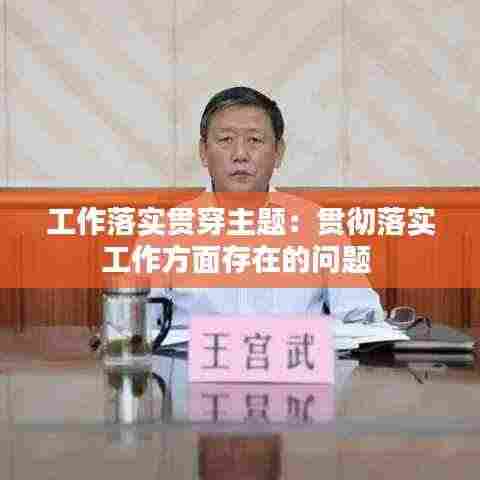 工作落实贯穿主题:贯彻落实工作方面存在的问题