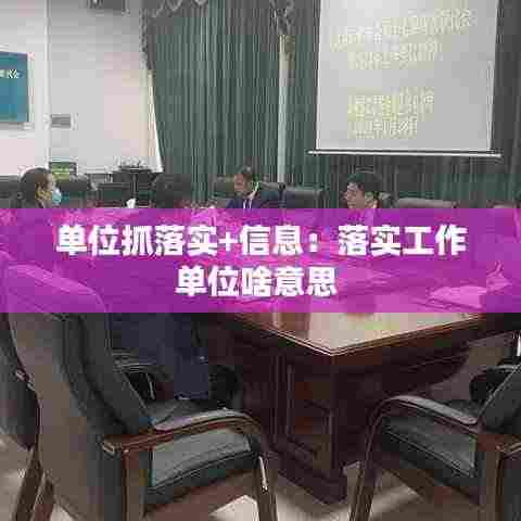 单位抓落实+信息:落实工作单位啥意思