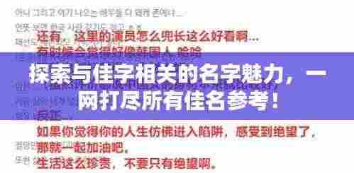 探索与佳字相关的名字魅力,一网打尽所有佳名参考!