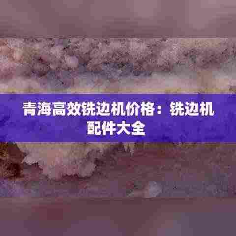 青海高效铣边机价格:铣边机配件大全