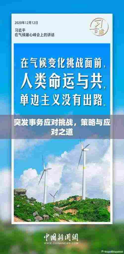 突发事务应对挑战，策略与应对之道